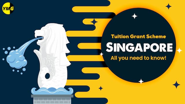 Tuition Grant Scheme Singapore: All you need to know! article image