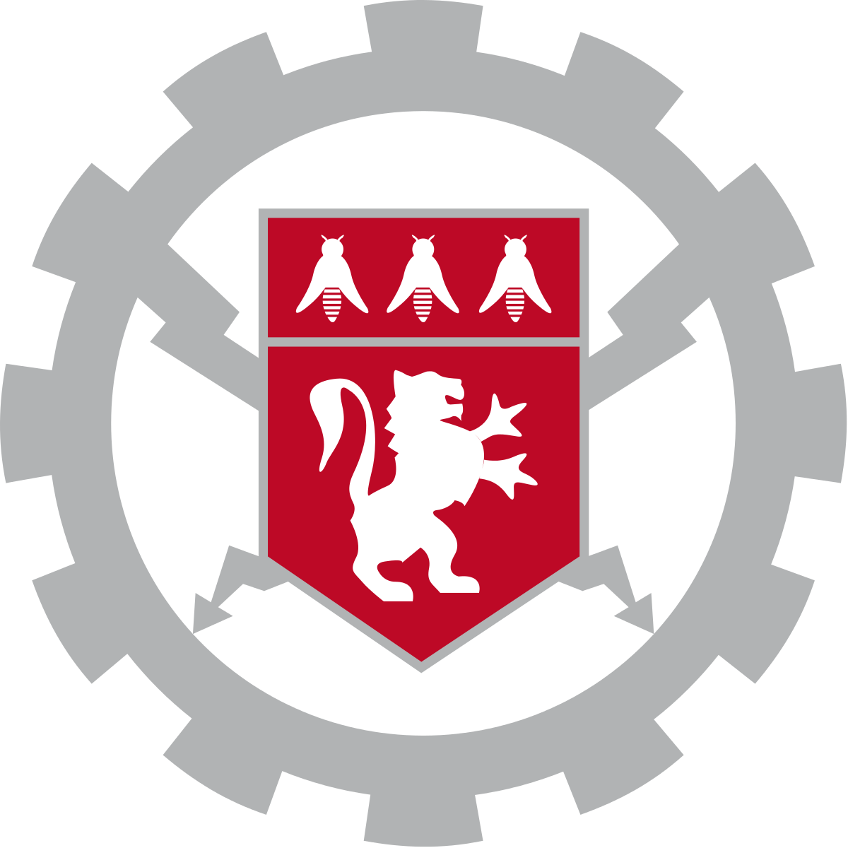 Central School of Lyon logo