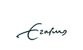Erasmus University Rotterdam logo