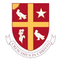 University of St. Thomas (TX) logo