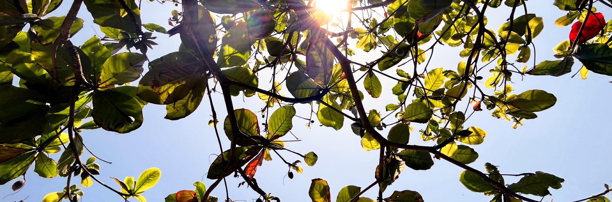 Vamsi Sai Krishna Reddy's cover photo