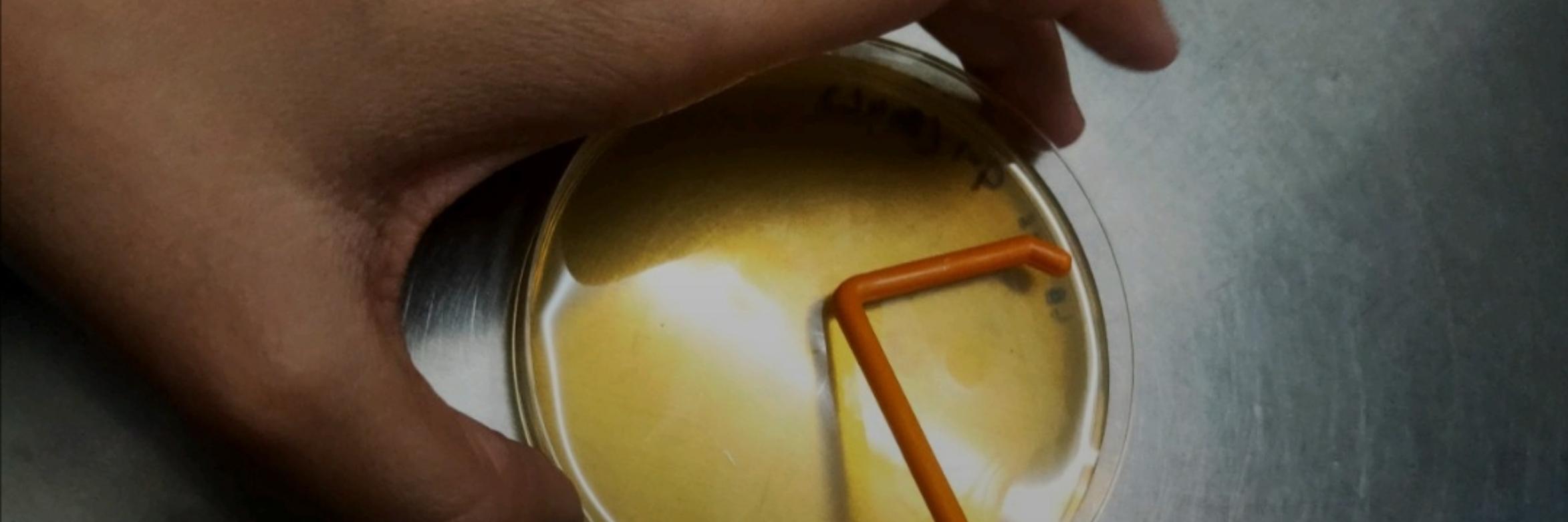 Gunashree's cover photo