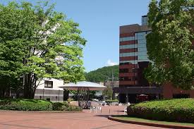 University of Yamanashi