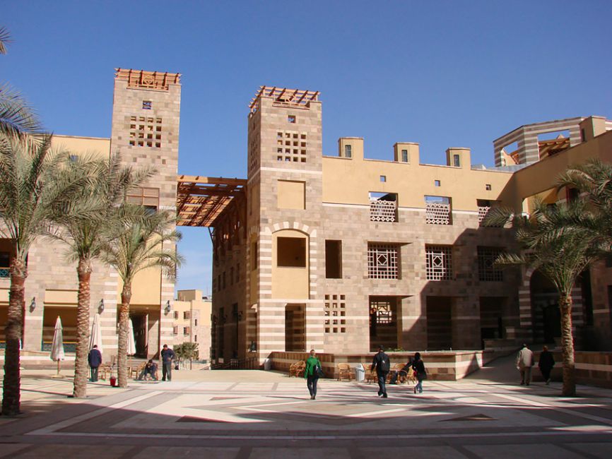 American University in Cairo