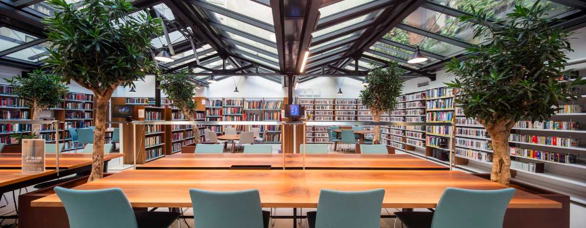 American University of Paris