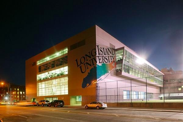 Long Island University