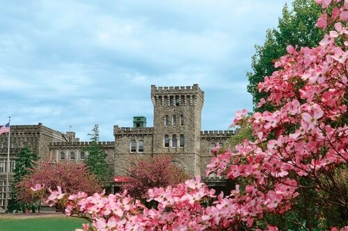 Manhattanville College