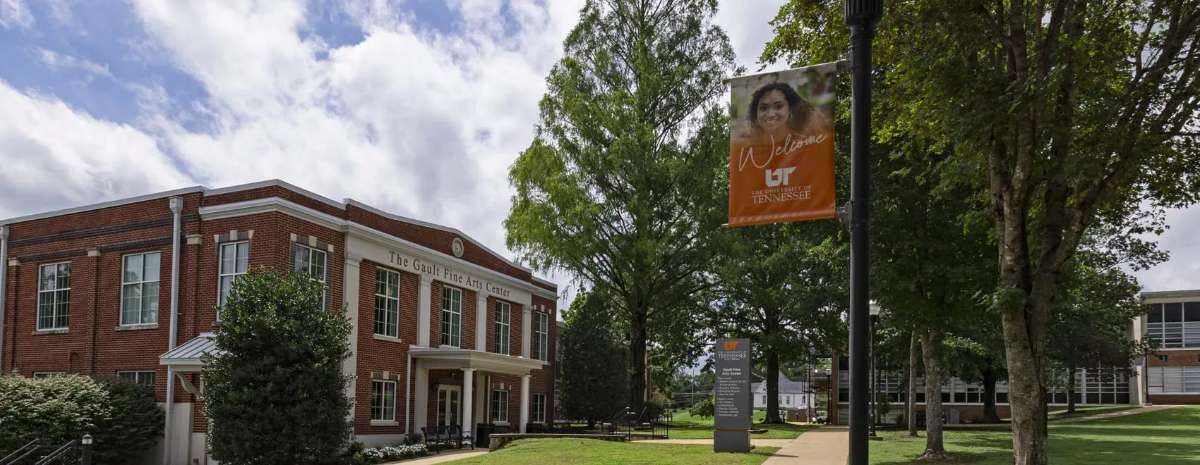 The University of Tennessee Southern