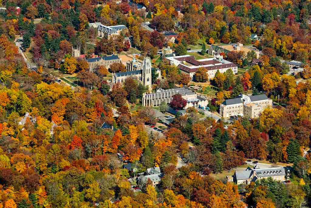 The University of the South