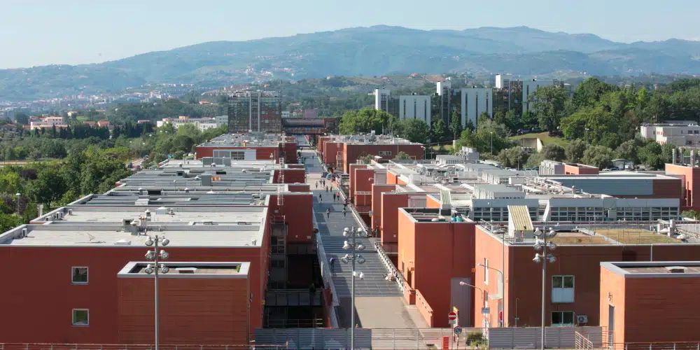 University of Calabria