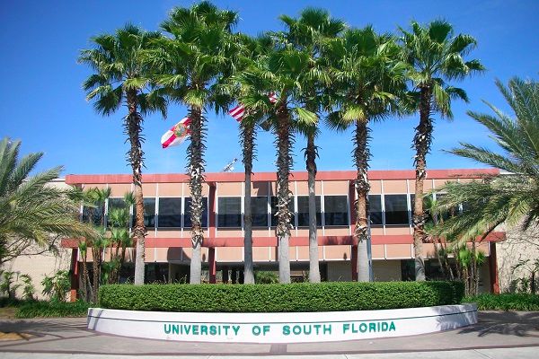 University of South Florida